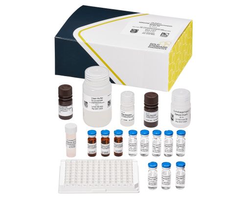 Cilindrospermopsina, Placa ELISA