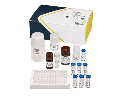 Ácido Okadaico (DSP), Placa ELISA