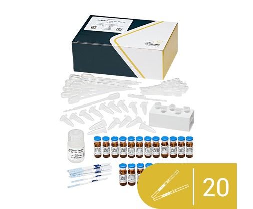 Tira Reactiva ABRAXIS® para Patulina, 20 tests