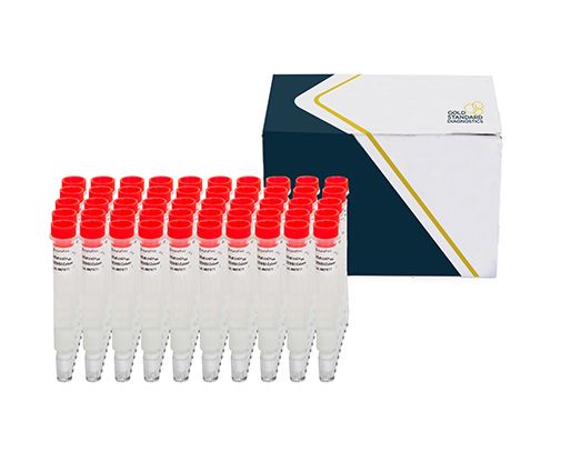 Columna de Inmunoafinidad SENSIColumn IAC para Aflatoxina Total