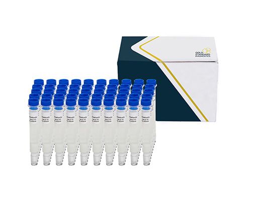Columna de Inmunoafinidad SENSIColumn IAC Combi Aflatoxinas+Ocratoxinas