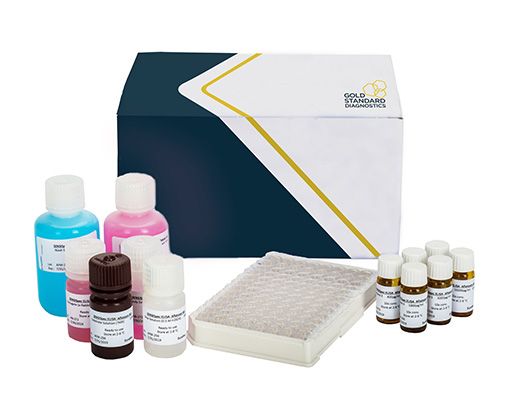 SENSISpec para Aflatoxina M1